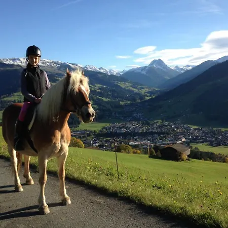 Stallhausl-hof Agroturismo Kirchberg in Tirol