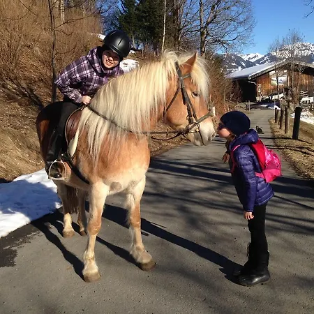 Stallhausl-hof Kirchberg in Tirol