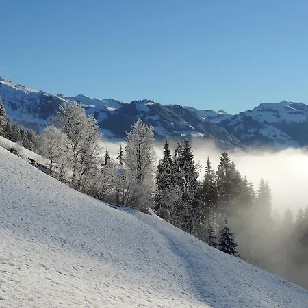 Stallhausl-hof Kirchberg in Tirol